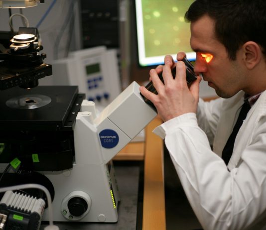 Világszerte keresett tudást és biztos karriert ígér egy új pécsi képzés Biotechnikus