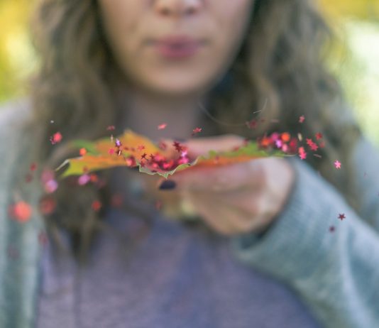 Az Ikreknek sikert, a Halaknak örömet ígérnek a csillagok a hétre – karrier horoszkóp november 8-14. Horoszkóp