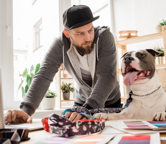 Nem minden munkahelyre való kutya – kiderültek a szempontok Kutyabarát munkahely
