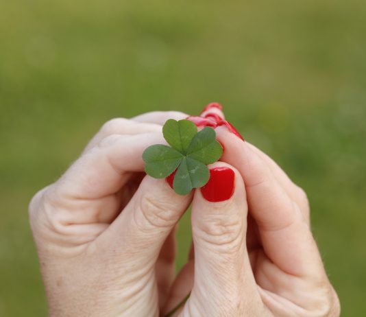 Ma a Vízöntőnek áll a szerencse – karrier horoszkóp április 22-én Lóhere