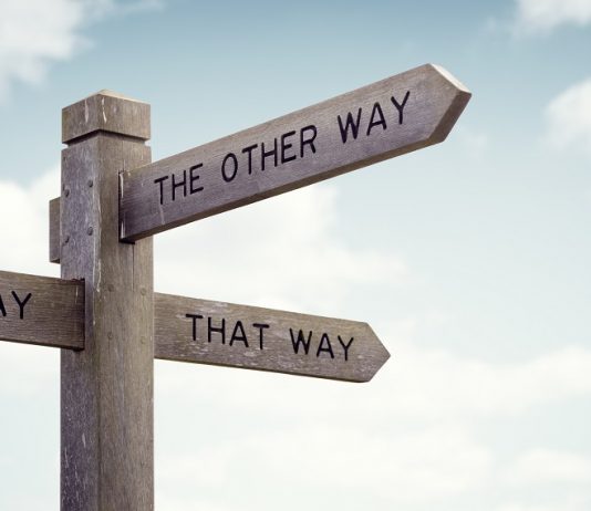 Az érettségivel ma már kitörölhetitek…avagy van-e élet diploma nélkül? Útválasztás