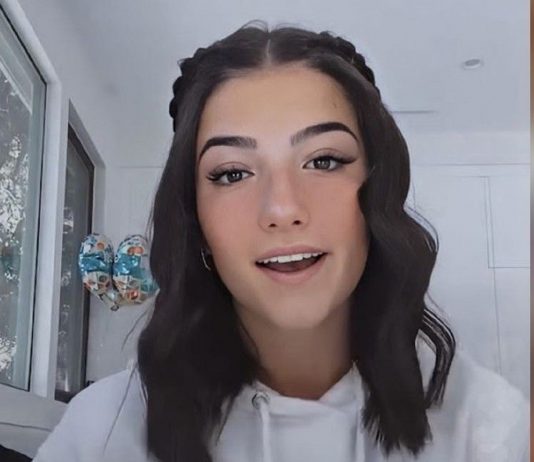 A TikTok legnagyobb sztárja többet keres, mint a legnagyobb vállalatok vezetői Charlie D'Amelio