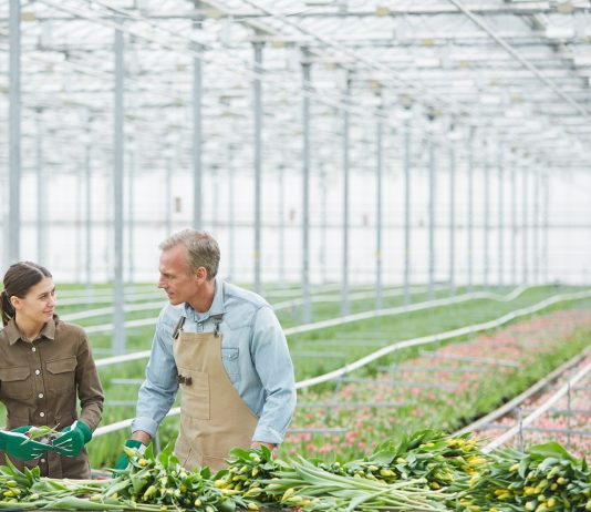 Tényleg a bedőlés felé haladnak a magyar családi vállalkozások? Családi vállalkozás