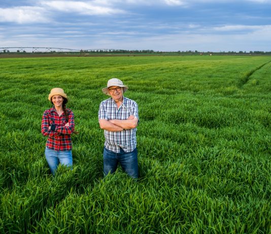 Őstermelők: baj lehet a biztosítási jogviszonnyal! őstermelő, biztosítási jogviszony, nyugdíj