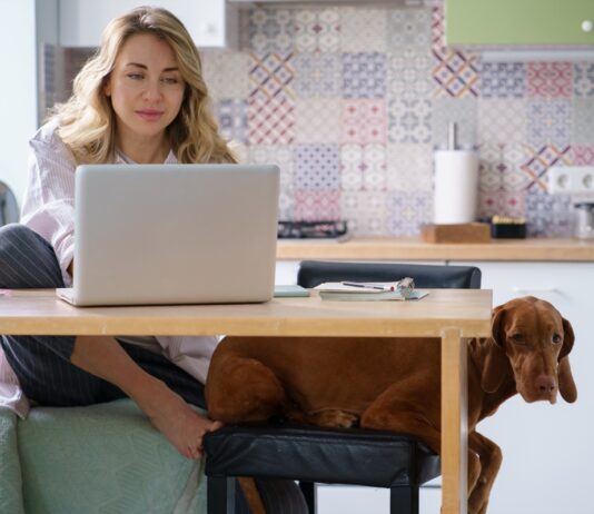 A magasabb bér mellett számít a home office is home office, allaskereses, munkavallalo, munkaltato