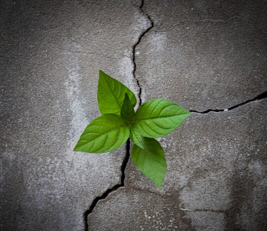 Karrier horoszkóp: a Baknak összeomlás után újraépítkezés jöhet horoszkóp, ezoteria, karrier, bak