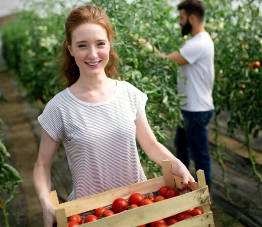 A munkaerőhiány miatt egyre több diákmunkást keresnek nyárra munkaerohiany, diakmunka, munkaeropiac, szja