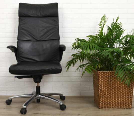 7 kipusztíthatatlan irodai növény munkahely, fenntarthatosag, well-being, munkaegeszseg