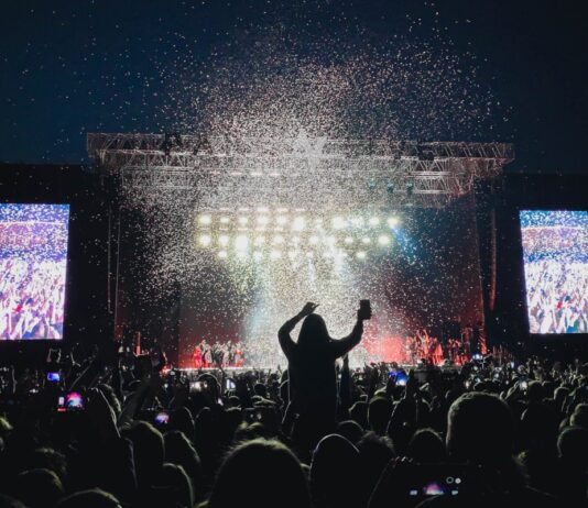 Sziget Fesztivál mint munkavállalói élmény? applikacio, palyakezdo, wellbeing, cafeteria