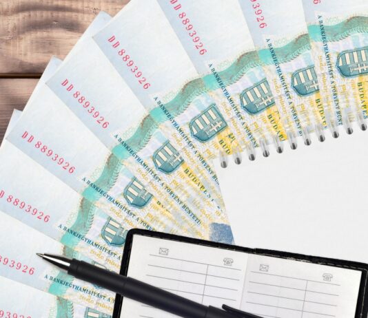 KSH: több mint félmillió a bruttó átlagkereset atlagkereset, munkaeropiac, munkavallalo, netto ber