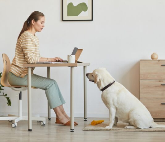 Tippek a munka-magánélet egyensúlyának fenntartására munka-maganelet, karrier, kommunikacio, teljesitmeny