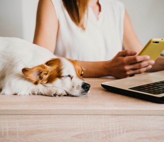 A távmunka végleg meghódította az informatikát home office, tavmunka, informatika, hibrid munka