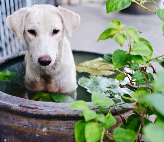 Munkavédelmi ellenőrzések: az a fránya adminisztráció… munkavedelem, munkavallalo, munkaltato, munkahelyi baleset