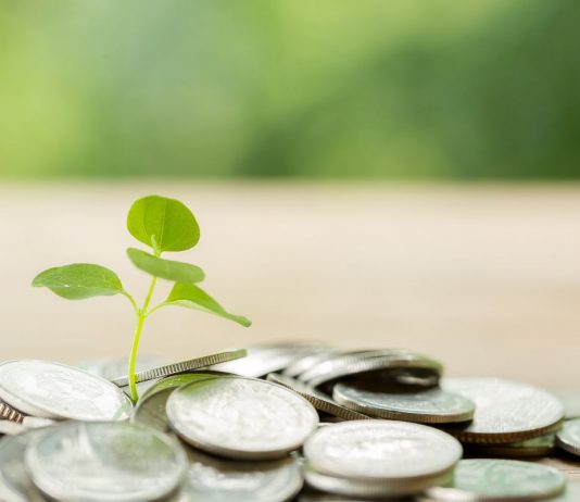 Vajon miért titkolja a cég a fizetést az álláshirdetésben? munka-ber-allashirdetes-fizetes