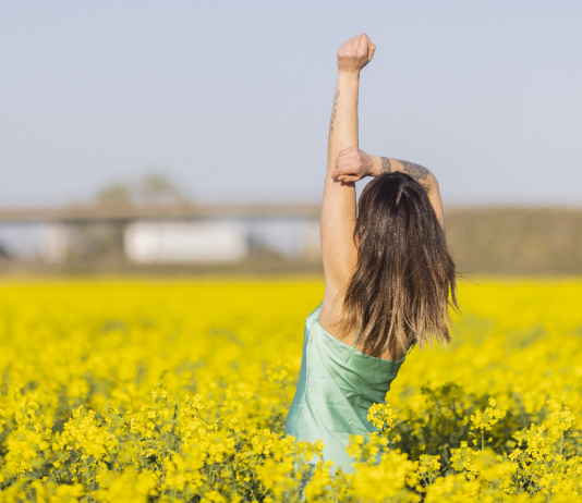 Az Oroszlánnak most bölcsnek kell lennie! karrier, horoszkop, ezoteria, oroszlan