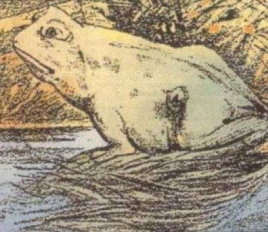 Optikai illúzió: Te megtalálod a másik állatot a képen? Akkor nagyon magas az IQ-d munka-szemelyisegtipus-optikai-illuzio-karrier