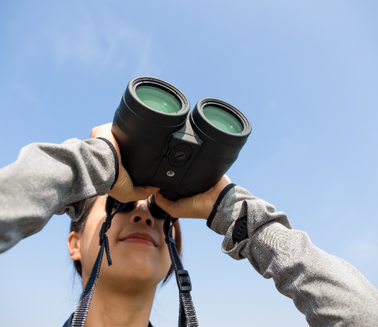 Az Ikreket ma valaki megfigyeli! karrier, horoszkóp, ezoteria, ikrek