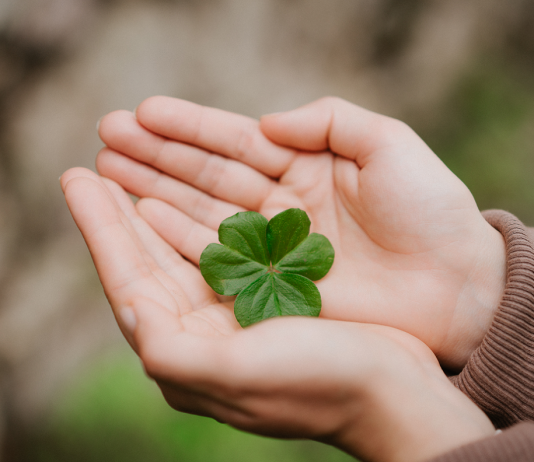 Így ragadd meg a szerencsédet! 4 tipp a tanácsadótól karrier, szerencse, kutatás, szerencsés