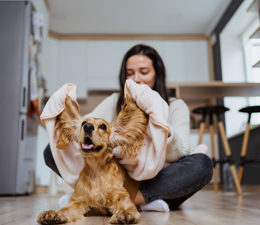 Jéghegy-mozgató és hivatásos gyászoló – íme a legfurcsább foglalkozások furcsa munkák, vicces, foglalkozások