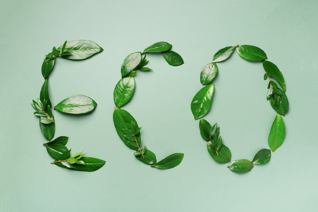 környezetvédelem, zöld munkahely, zöld iroda, eco