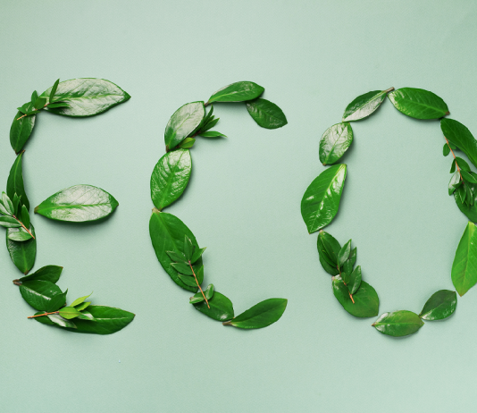 Egy pécsi iroda is a környezetvédelem mellett tette le a voksát környezetvédelem, zöld munkahely, zöld iroda, eco