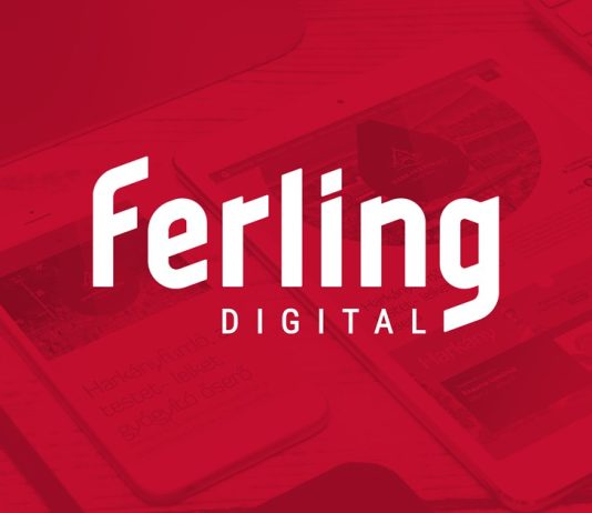 Az egyedi megoldások mesterei: bemutatjuk a FERLING Kft. Digital üzletágát! ferling