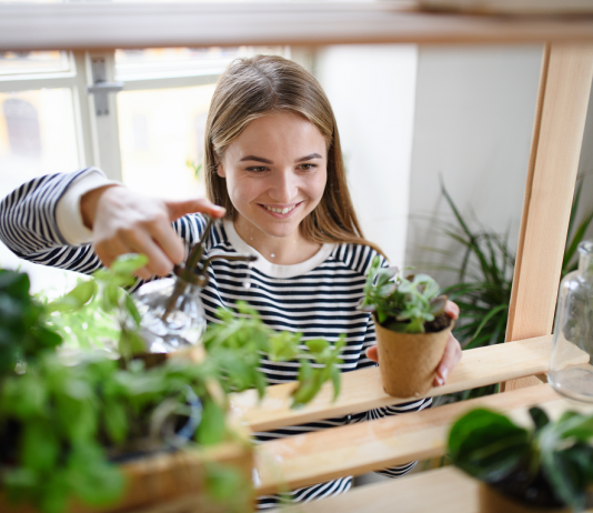 Így vihetsz életet az irodába minimális idő- és energiaráfordítással iroda, növények, irodai növények, szobanövények