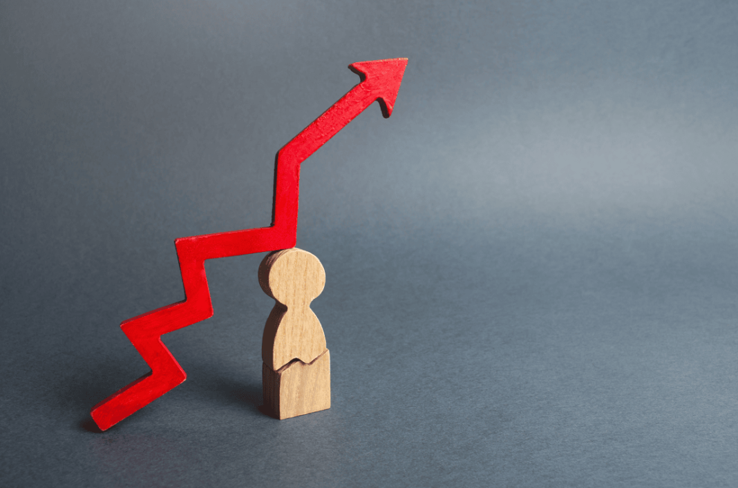 kíniai vállalkozások, magyarország, belföld, gazdaság