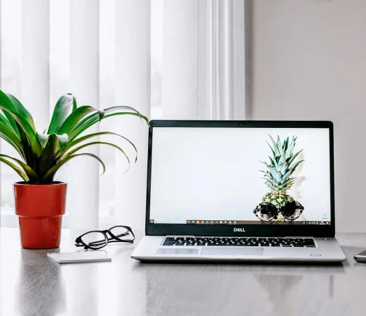 A Feng Shui állítja, az íróasztal helyzete hatással van az üzleti sikerre Feng shui a munkahelyen