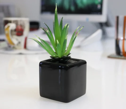 Fenntarthatóság a vállalati kultúrában Fenntarthatóság