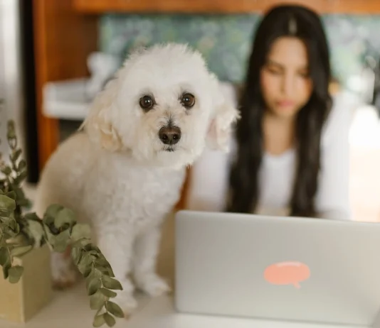 A hibrid munkavégzés jövője: Miért csúsznak vissza a cégek a teljes irodai jelenlétbe? Hibrid