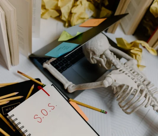 Munkaidentitás, avagy miért kötjük a saját értékünket a munkánkhoz? Munkaidetitás