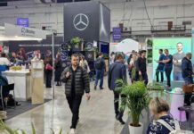 JOBVERSE állásbörze egy valós idejű piaci diagnózis Jobverse